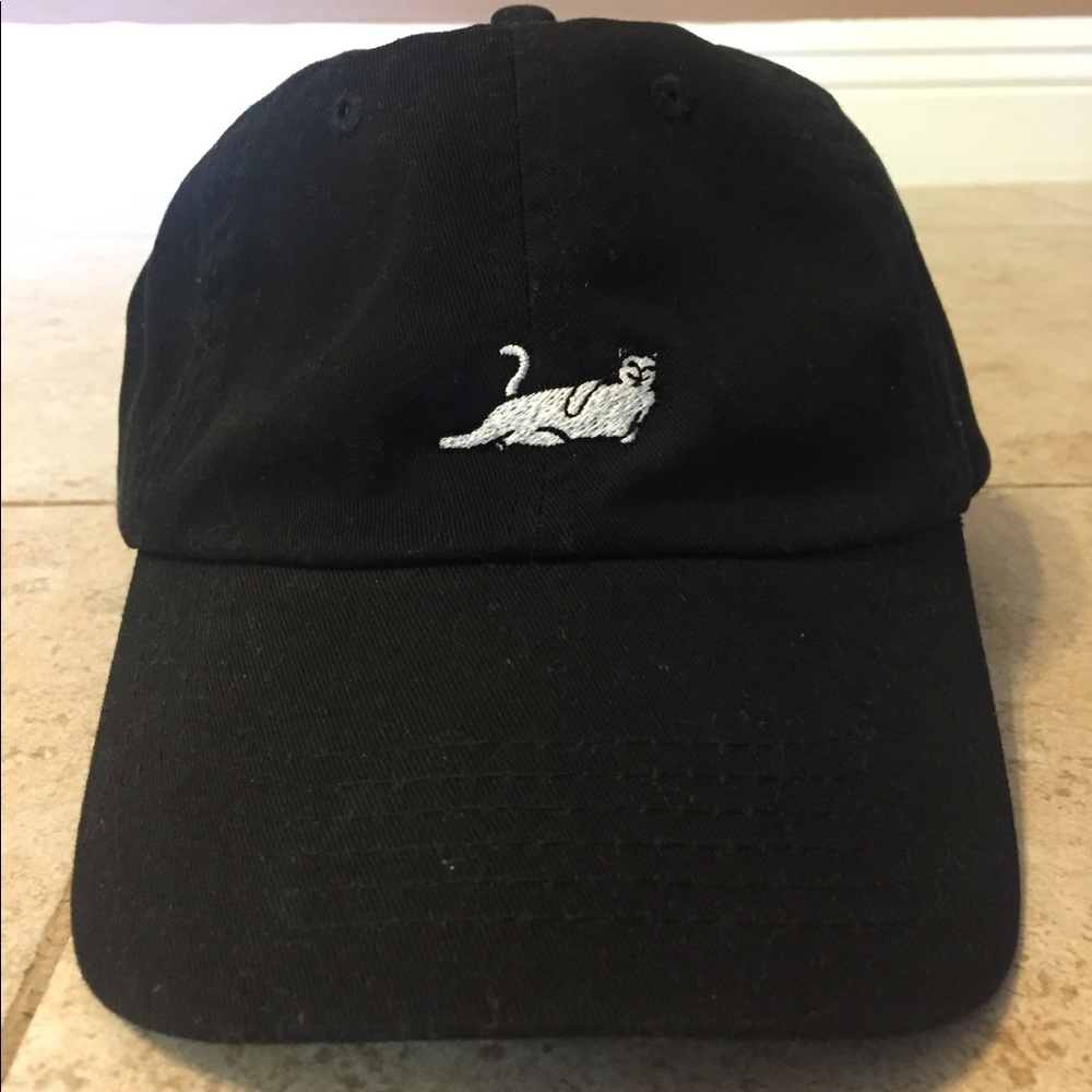 RIP N DIP Dad Hat unisex black one size NWT